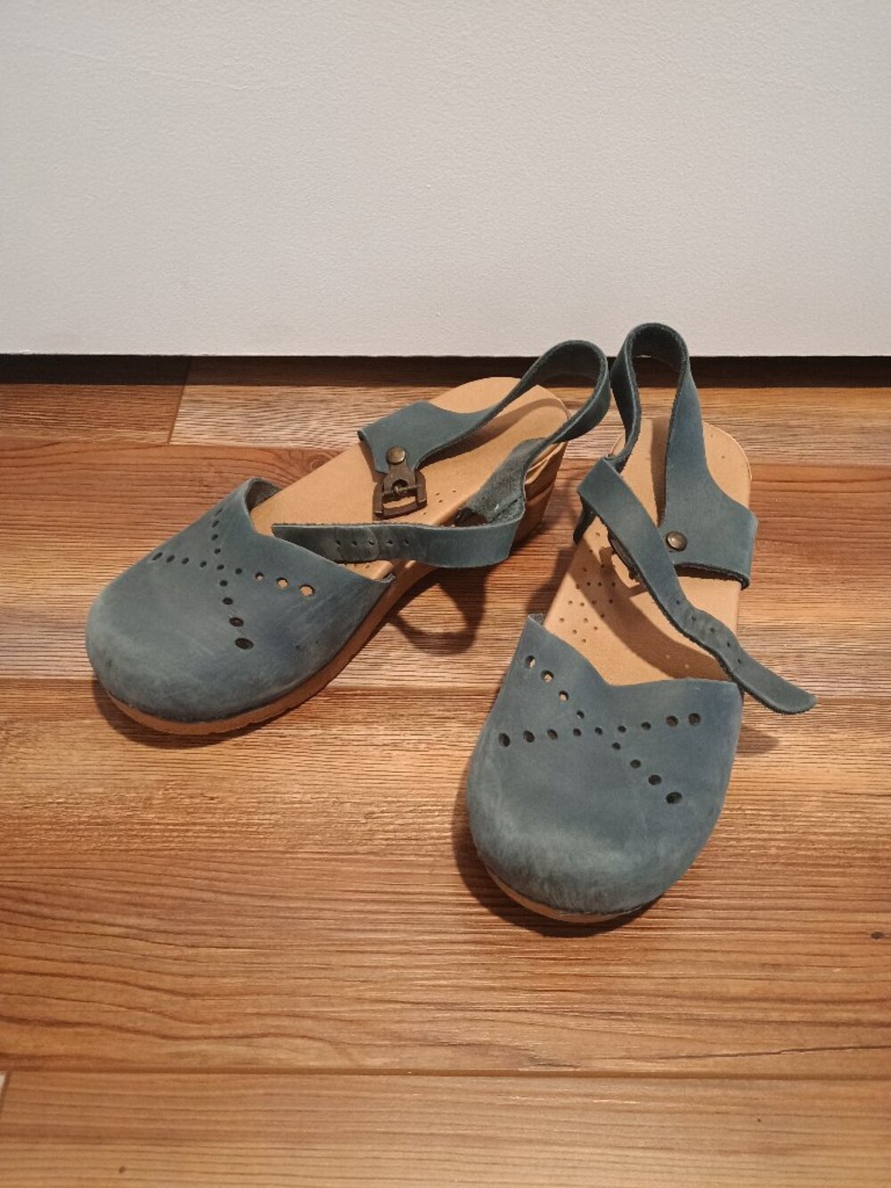Blue Buckle Clasp Sandal Clogs